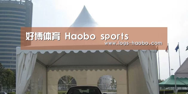 案例标题八